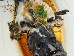 清蒸龙胆石斑鱼-鑫悦楼煎蟹·16年海鲜大排档