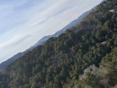 -红山国家森林公园