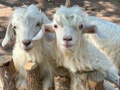 -水上乐园·欢乐世界