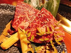 -肉魁屋·烧肉·烧鸟·酒场(高新店)