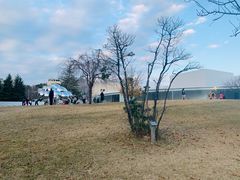 -金泽21世纪美术馆