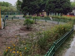-太阳宫公园