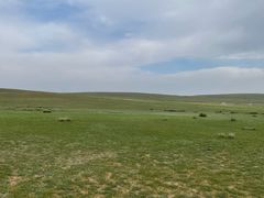 -希拉穆仁草原