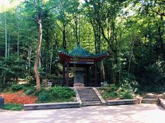-青龙山国家森林公园