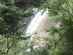 -内乡宝天曼生态旅游区