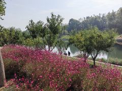 -坝河休闲公园
