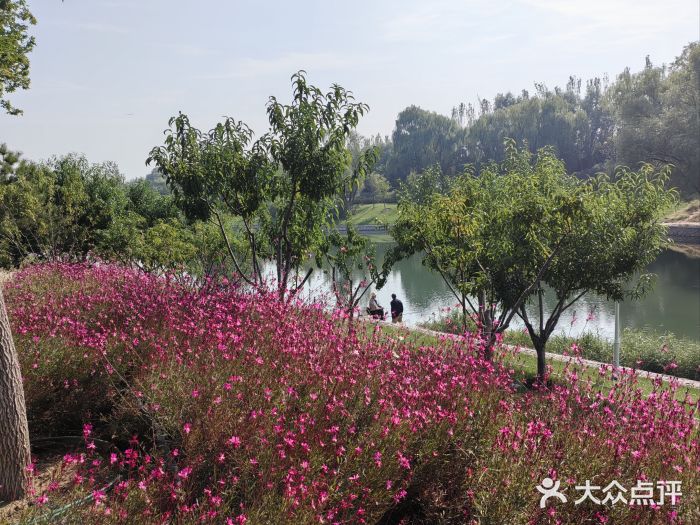 坝河休闲公园图片