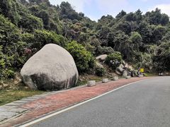 -火炉山森林公园