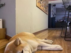 -YCHL Studios健身工作室(市二宫店)
