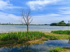 -渤公岛生态公园