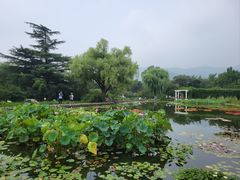 -国家植物园南园