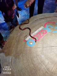 -酷嗒动物文化乐园(cutezoo西溪乐天城店)