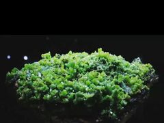 -中国地质大学逸夫博物馆