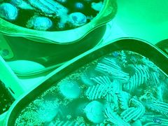 -飨府.老淮面馆.自营(清河路店)