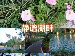 -金鸡湖景区