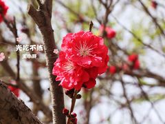 -望湖公园