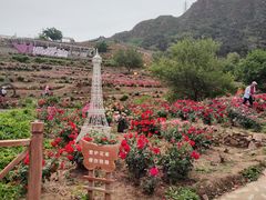 -密云玫瑰情园