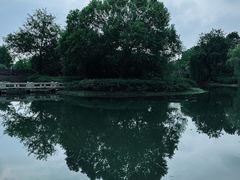 -长广溪湿地公园