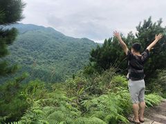 -武陵山森林公园