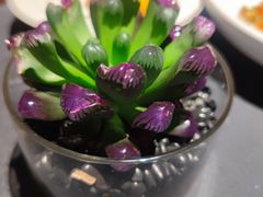 -肆月河豚·淮扬菜·湘菜(华天店)