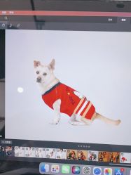 -橘子·彩虹摄影(世纪大道店)