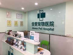 -佳雯宠物医院(金华南路分院)