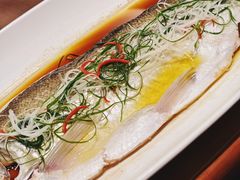 -金陵之星大酒店·中餐厅