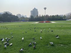 -大连人民广场