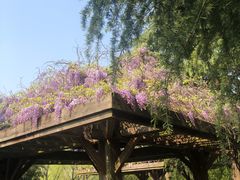 -白塘生态植物园