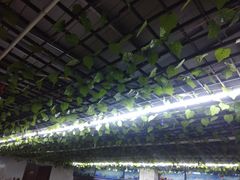 -鼓歌海鲜舫·手抓海鲜(大学城店)