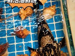 -金龙·打边炉(南京西路店)