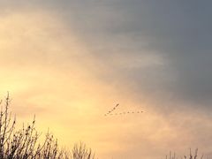 -野鸭湖国家湿地公园