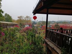 -盈香心动乐园