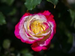 -人民公园(罗湖区)