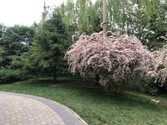 -玲珑塔公园