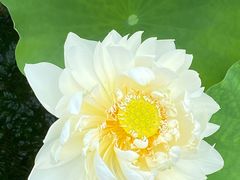 -天津东丽湖风景区