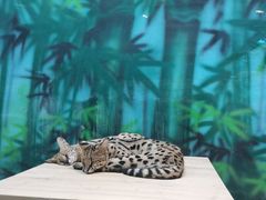 -齐齐哈尔龙沙动植物园