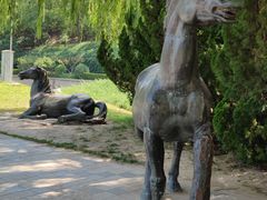 -元大都城垣遗址公园