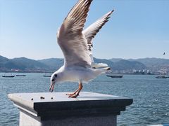 -海埂大坝