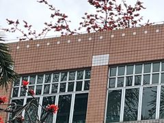 -广东外语外贸大学(白云山校区)