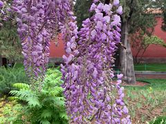 -北京市劳动人民文化宫(太庙)