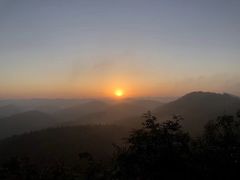 -武陵山森林公园