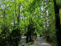 -南岳衡山风景名胜区