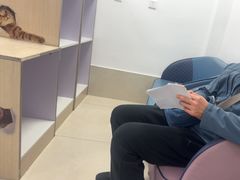 -北京观赏动物医院·24小时大型综合·猫专科·异宠专科