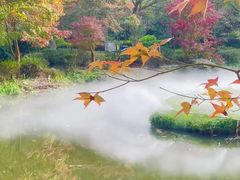 -田野绿世界