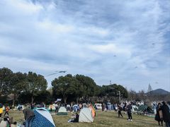 -羊山湖公园
