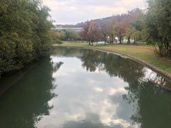 -佘山世茂艾美·御珍轩中餐厅