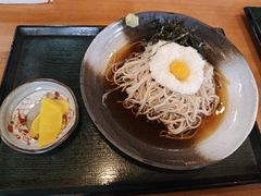 -白川乡手打荞麦面