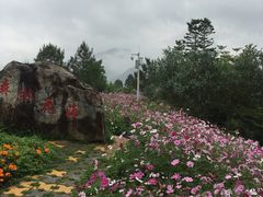 -广州市流溪河国家森林公园
