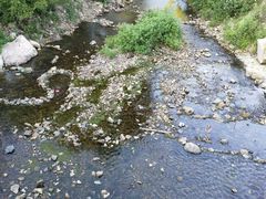 -北仑森林植物园